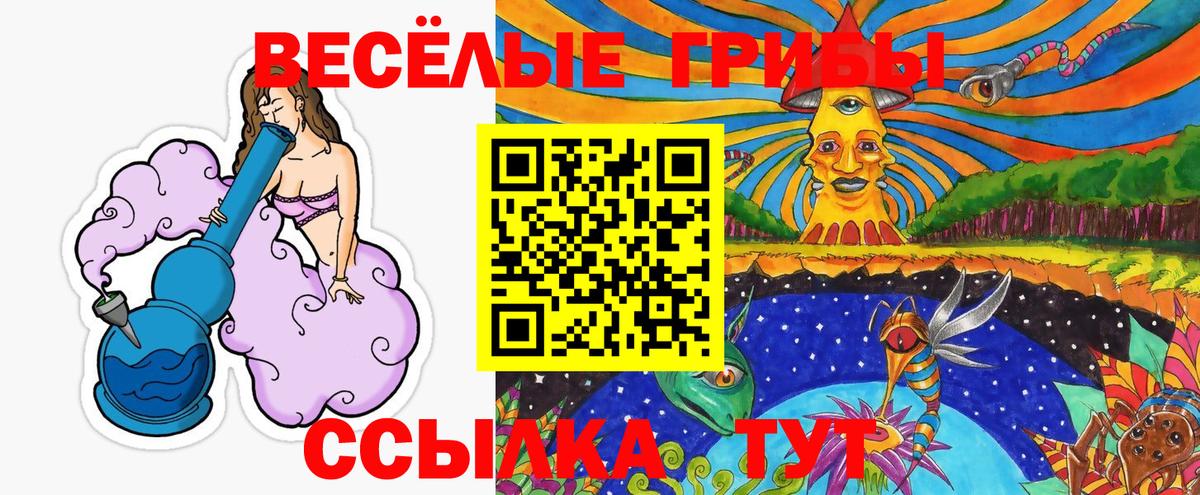 Галлюциногенные грибы Psilocybe  Вход с VPN  Острогожск 