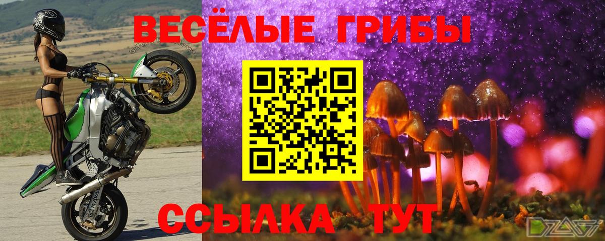 Галлюциногенные грибы MAGIC MUSHROOMS Острогожск
